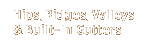 hips, ridges, valleys, gutters