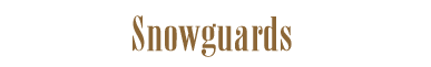 Snowguards